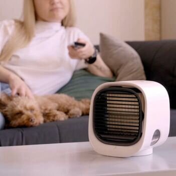 FrostyPure Mini Portable Cooler user Suzy S.